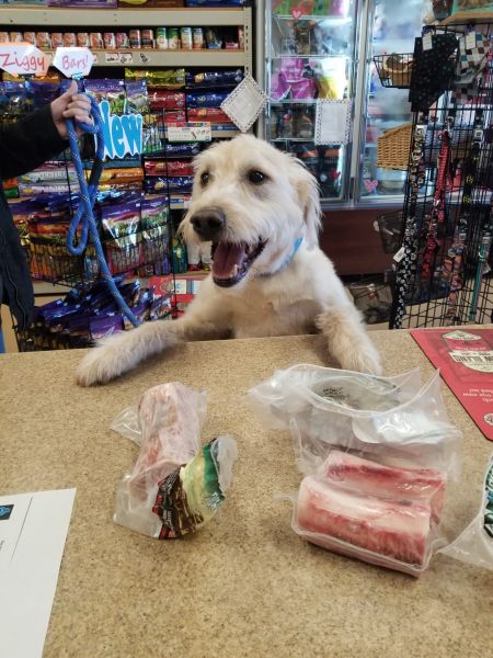 pets tucker paddy's market