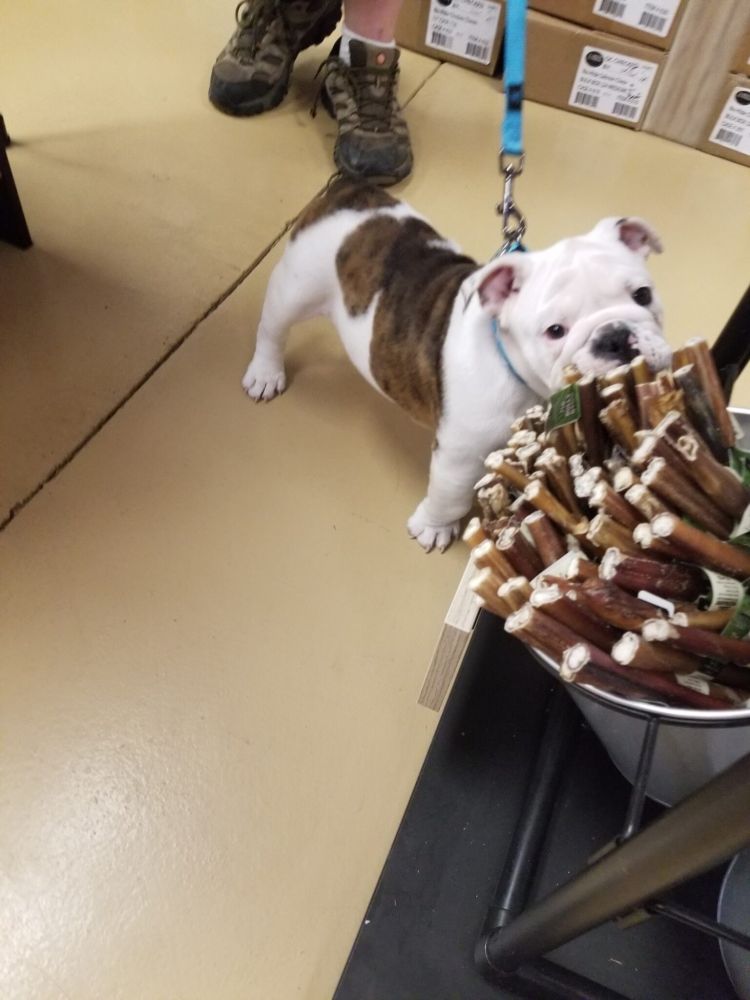 pets tucker paddy's market