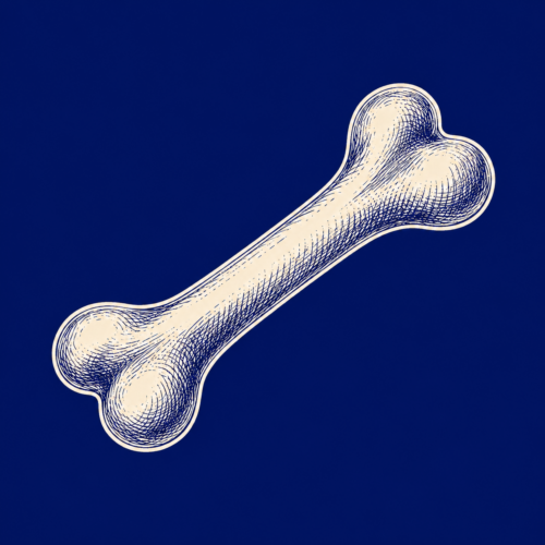Bones & Chews