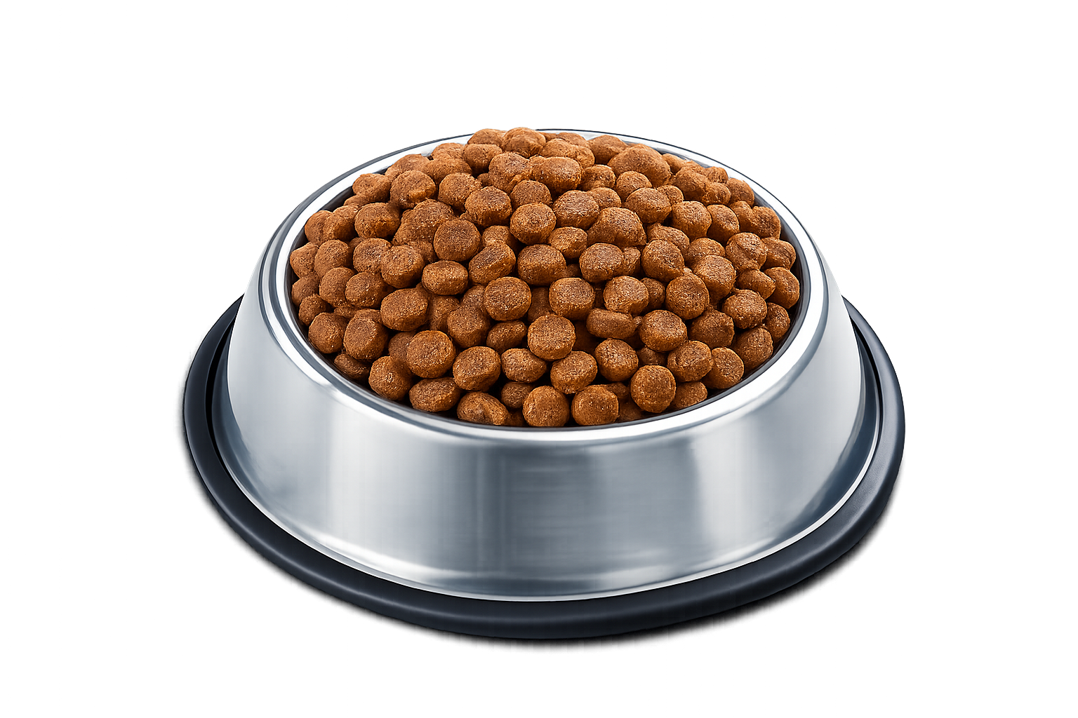 Kibble Dry Food in a Stainless Steel Bowl