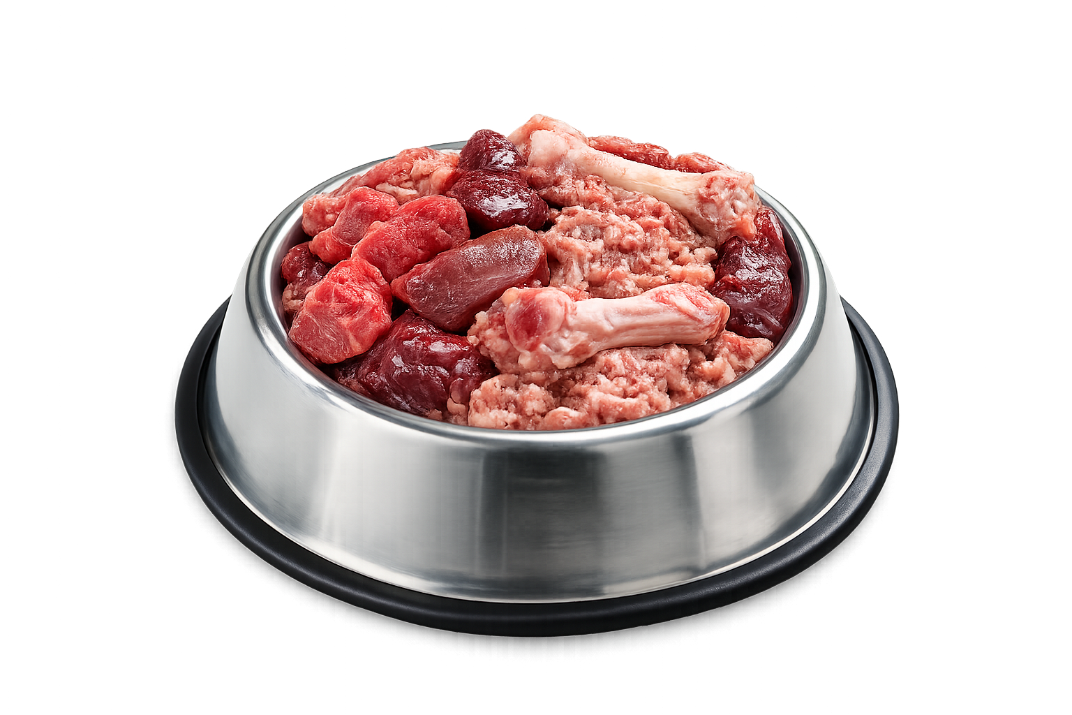 Raw Diet in a Stainless Steel Bowl
