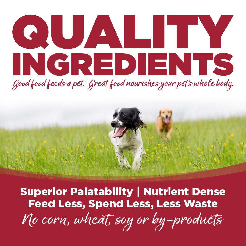 NutriSource ® Choice Beef Meal & Barley Dog Food