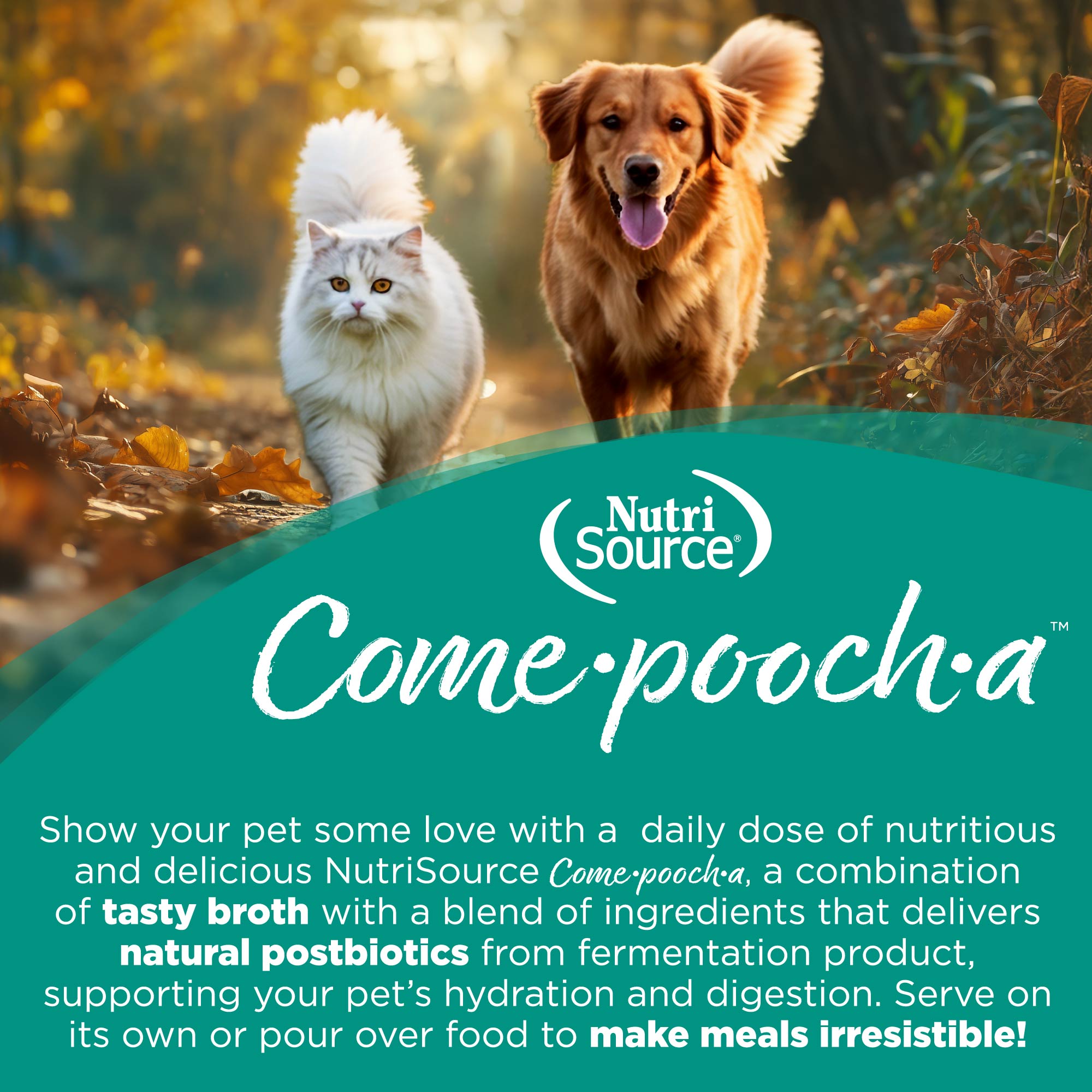 NutriSource ® Come-Pooch-a Turkey Broth Recipe, 12 oz