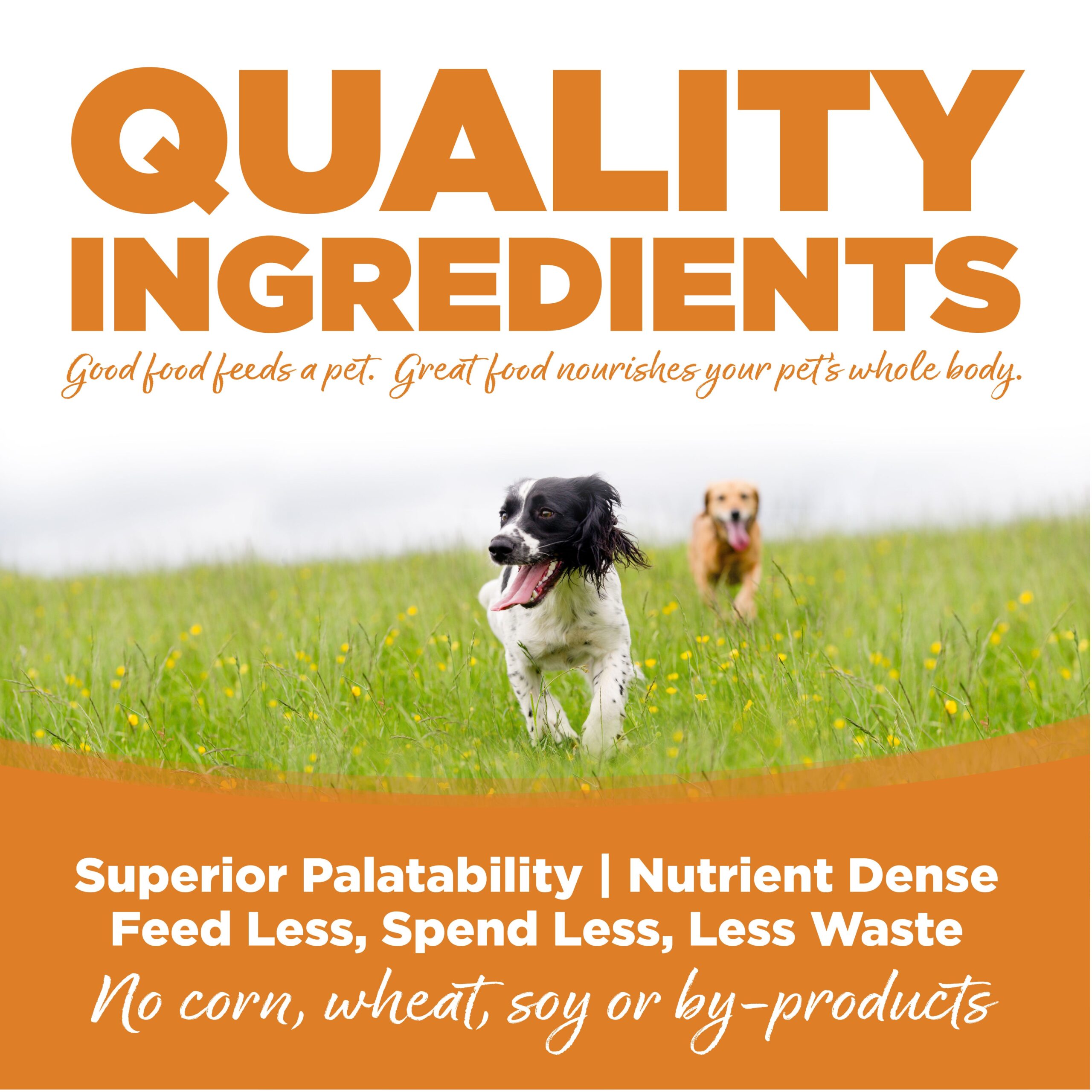 NutriSource ® Lamb Meal & Rice Recipe Dog Food