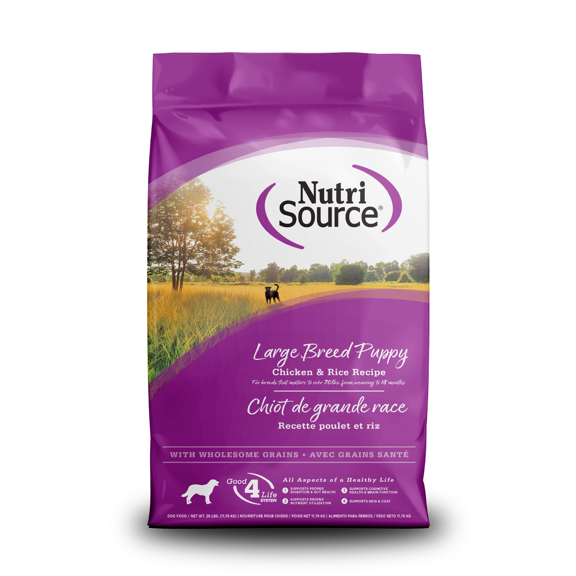 NutriSource ® Large Breed Puppy Chicken & Rice Recipe Dog Food, 26 lb