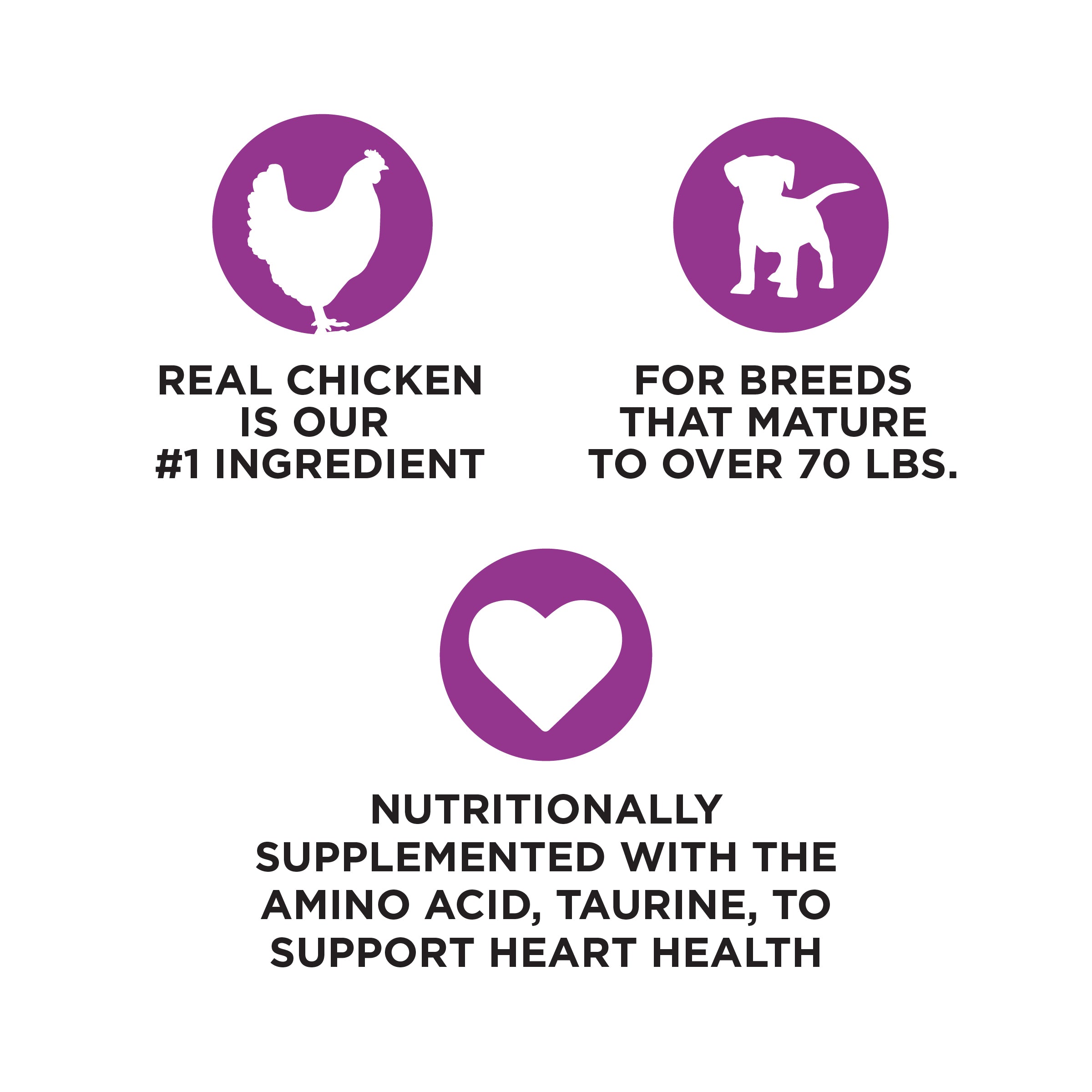 NutriSource ® Large Breed Puppy Chicken & Rice Recipe Dog Food, 26 lb