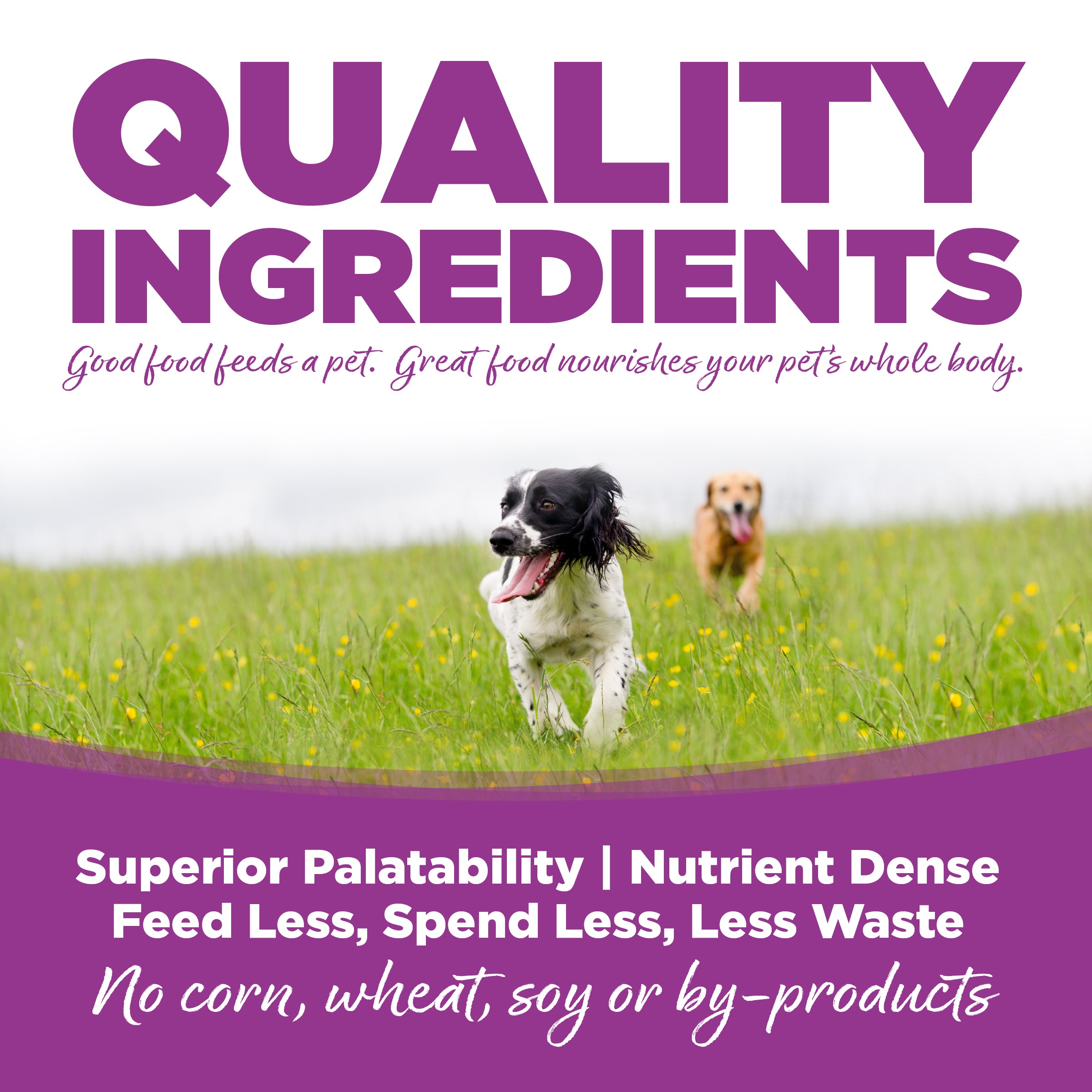 NutriSource ® Large Breed Puppy Chicken & Rice Recipe Dog Food, 26 lb