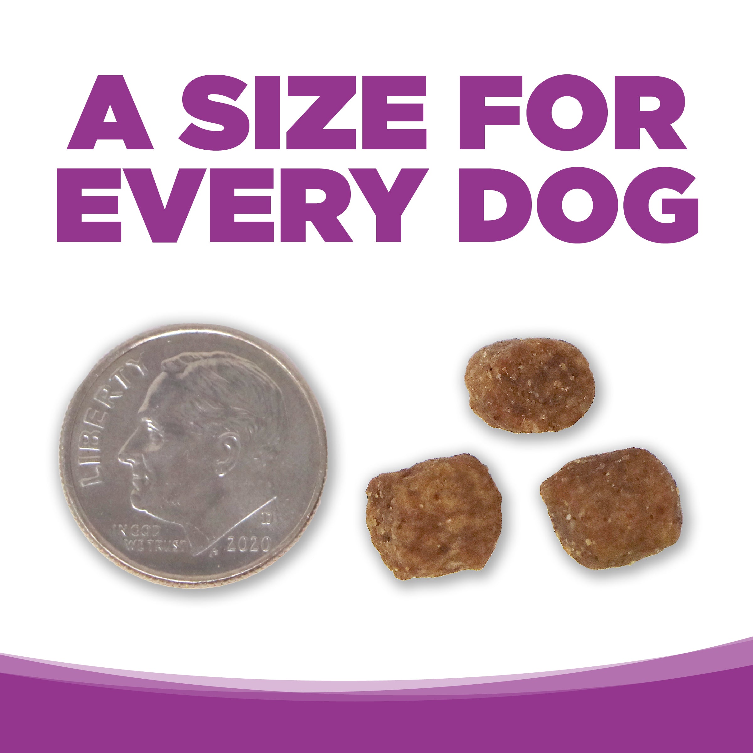 NutriSource ® Large Breed Puppy Chicken & Rice Recipe Dog Food, 26 lb