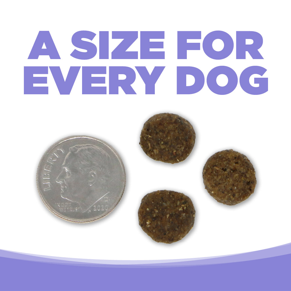 NutriSource ® PureVita™ Lamb & Pumpkin Entrée Grain Free Dog Food