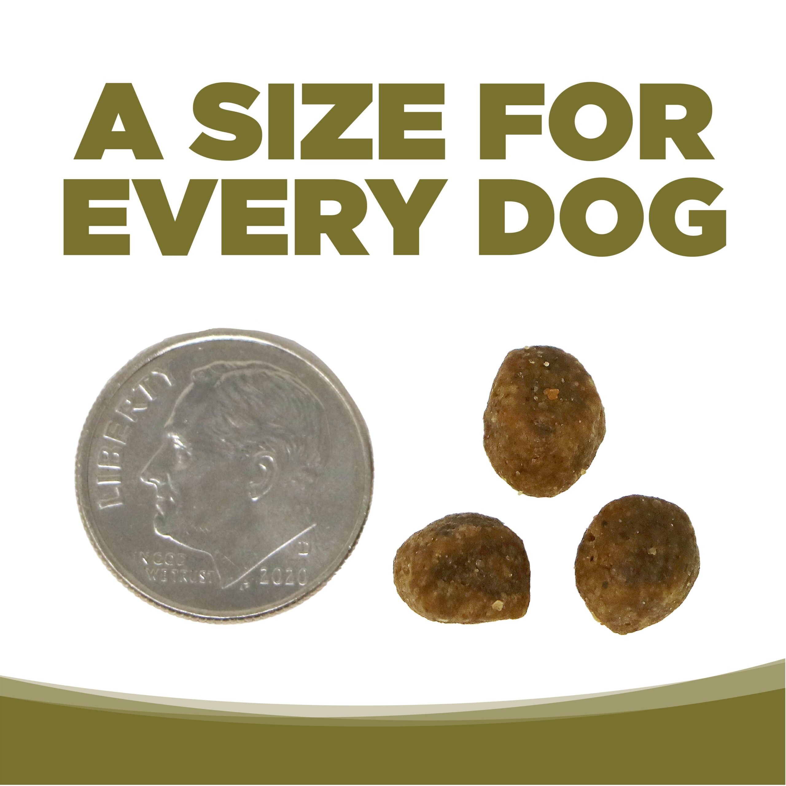 NutriSource ® Small Bites Chicken & Pea Recipe Grain Free Dog Food, 4 lb